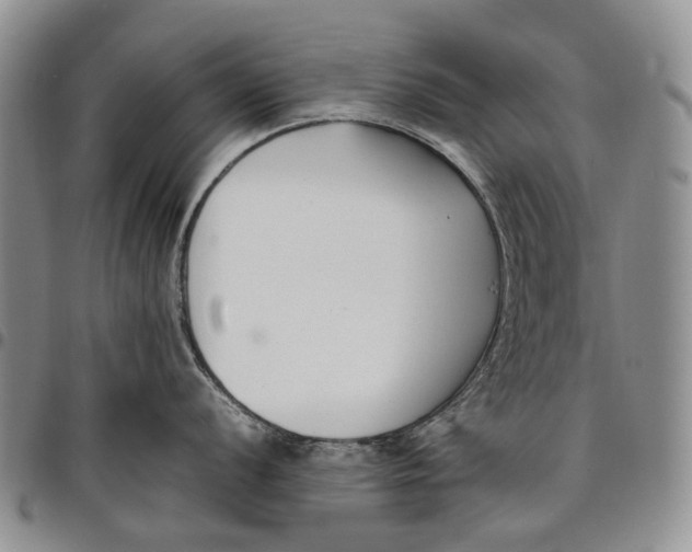 X0000097981056200804141113