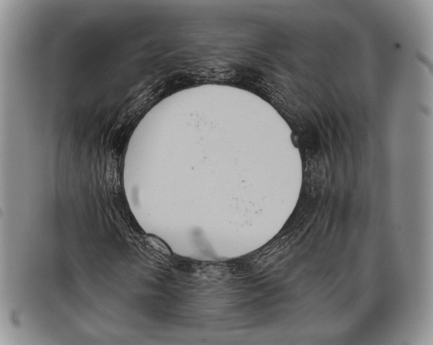 X0000097981058200804141112