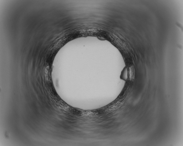 X0000097981059200804141112