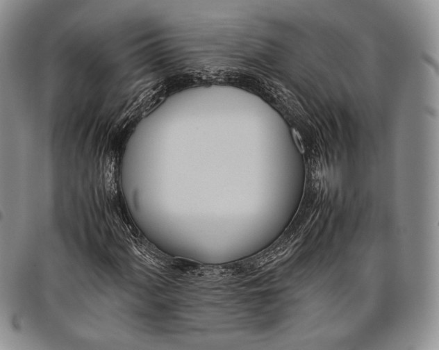 X0000097981060200804141112