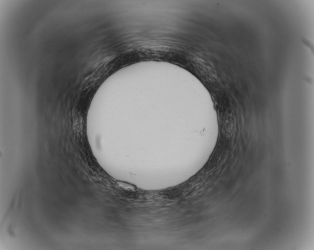 X0000097981061200804141112