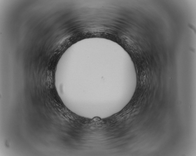 X0000097981062200804141112