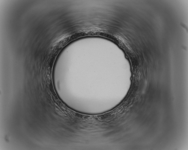 X0000097981063200804141112