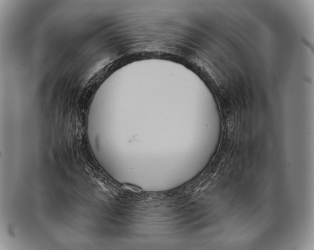 X0000097981064200804141112