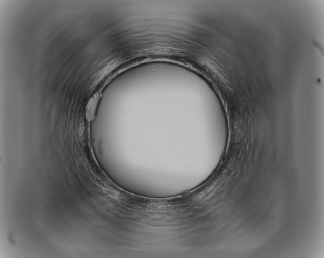 X0000097981065200804141112