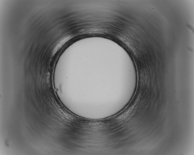 X0000097981066200804141112