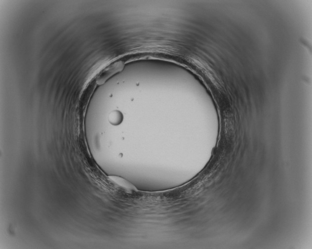 X0000097981069200804141112