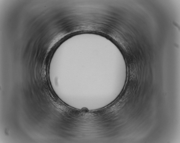 X0000097981070200804141112