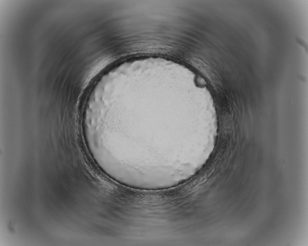 X0000097981071200804141112