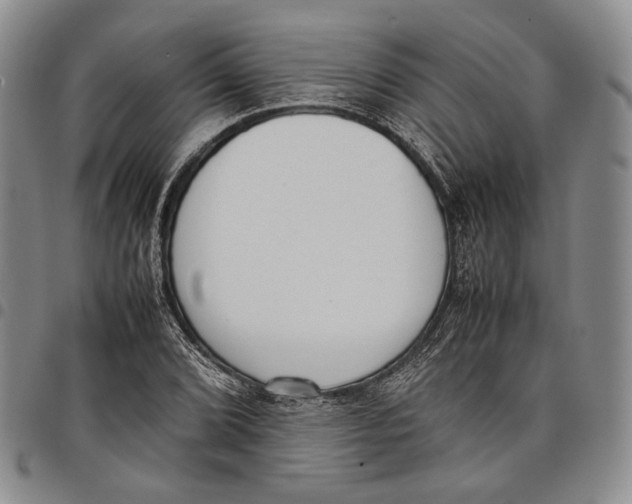 X0000097981072200804141112