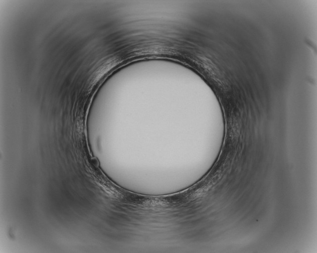 X0000097981073200804141112