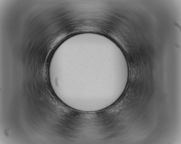 X0000097981074200804141112