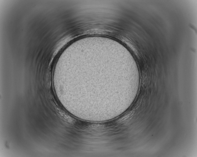 X0000097981075200804141112