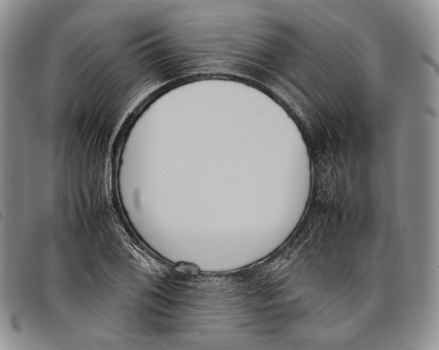 X0000097981076200804141112