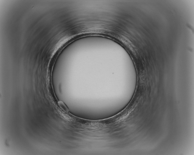 X0000097981077200804141112