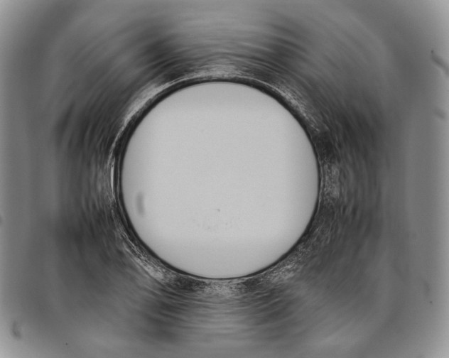 X0000097981078200804141112