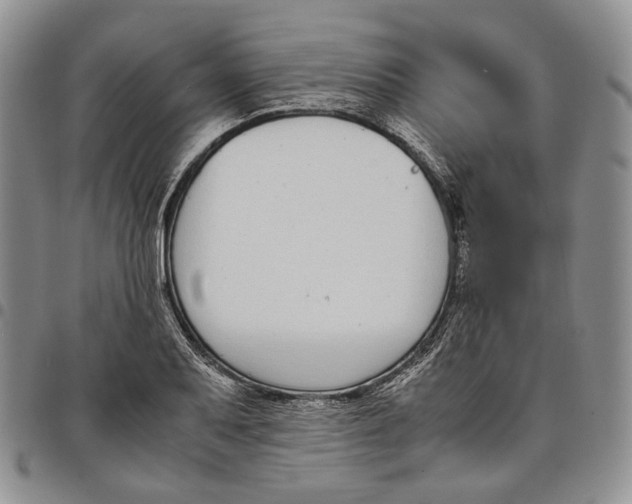 X0000097981079200804141112