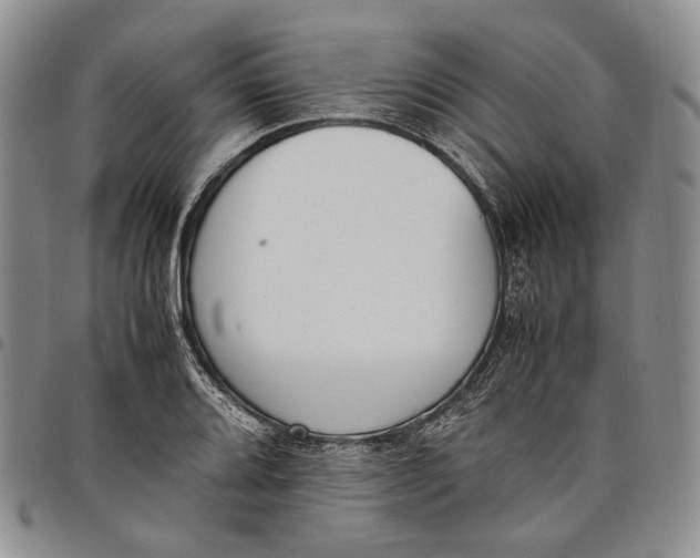 X0000097981080200804141112