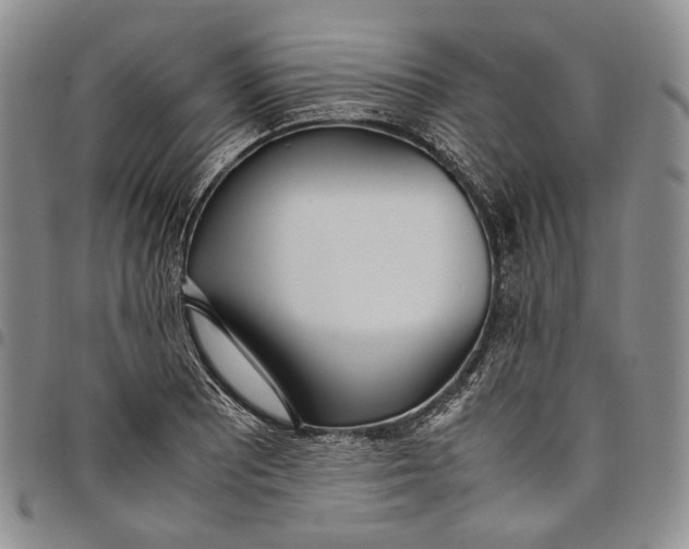 X0000097981081200804141112