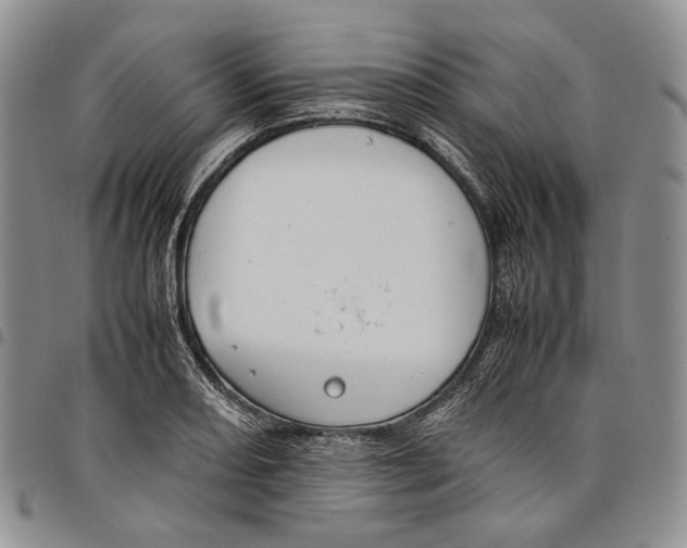 X0000097981082200804141112