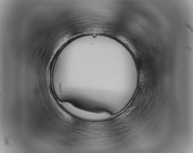 X0000097981083200804141112