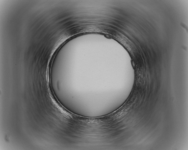 X0000097981084200804141112