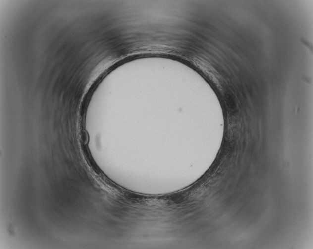 X0000097981085200804141112