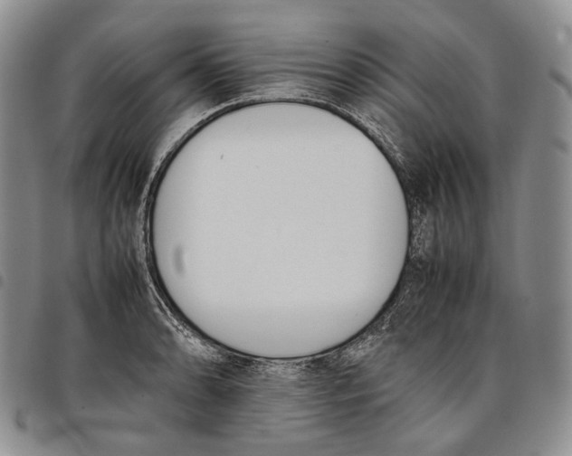 X0000097981086200804141112