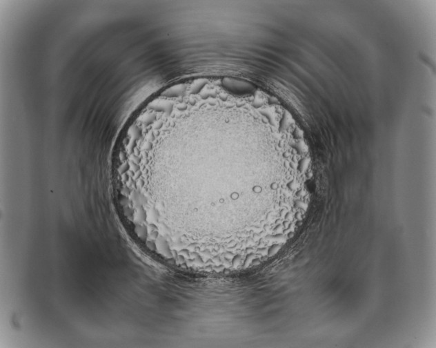 X0000097981087200804141112