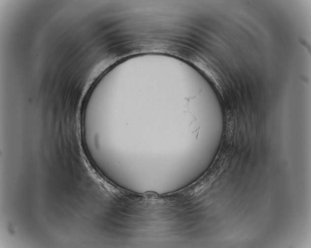 X0000097981088200804141112