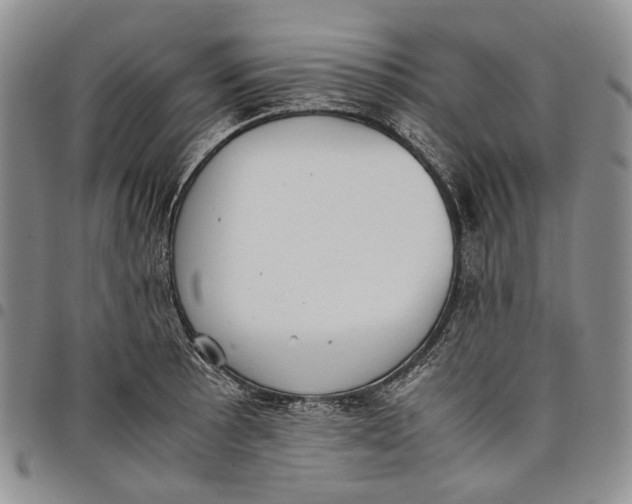 X0000097981089200804141112