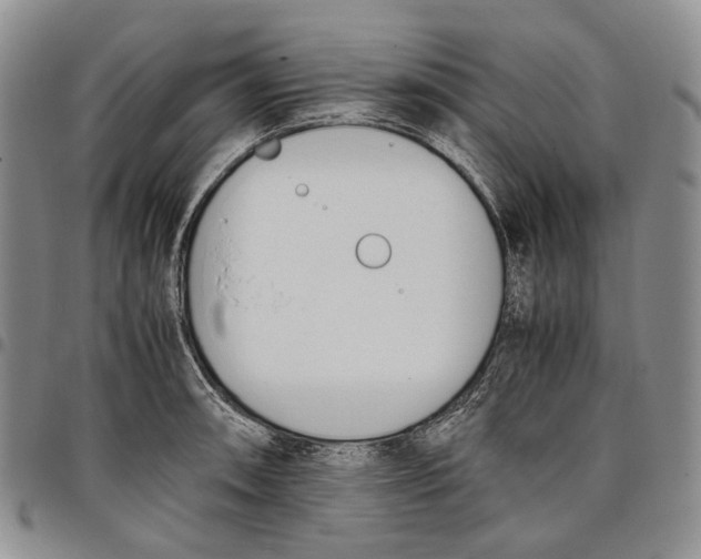 X0000097981090200804141111