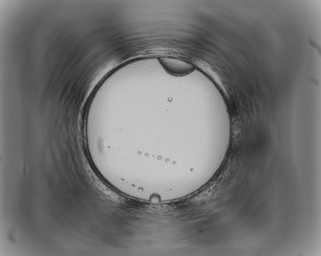 X0000097981091200804141111