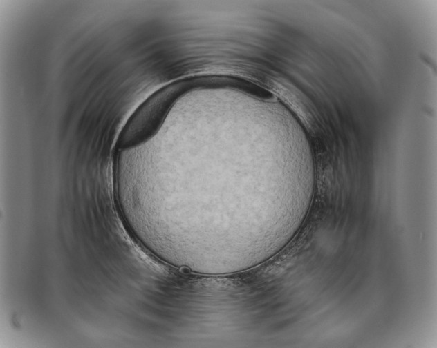 X0000097981092200804141111