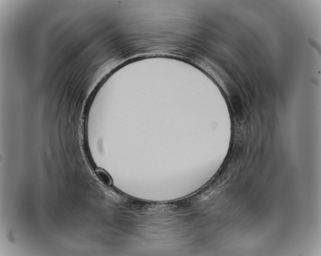 X0000097981093200804141111