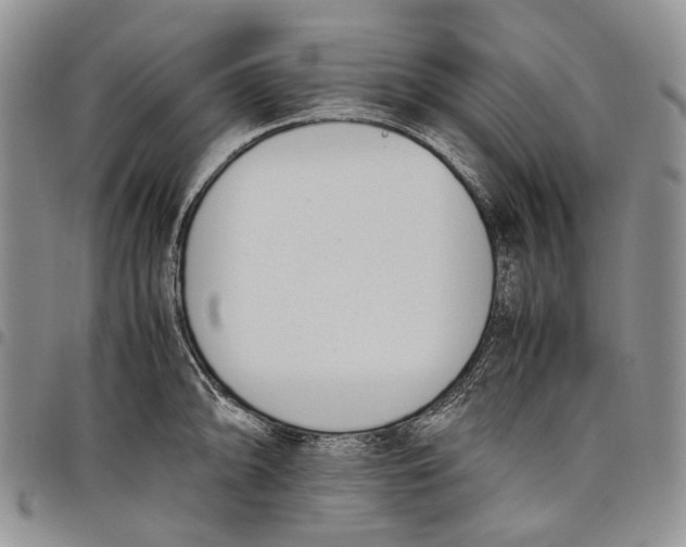 X0000097981094200804141111