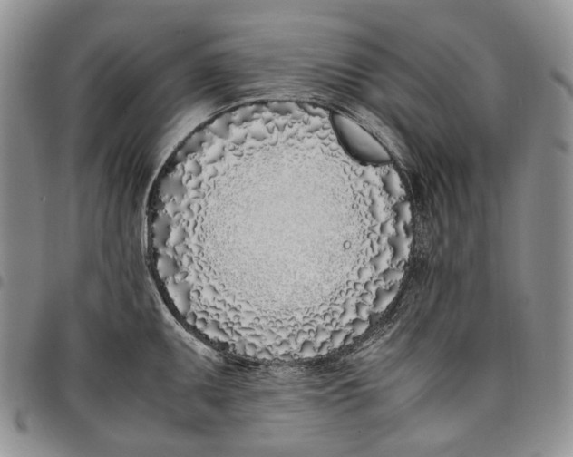 X0000097981095200804141111