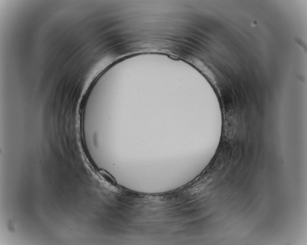 X0000097981096200804141111