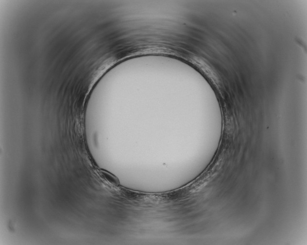 X0000097981097200804141111