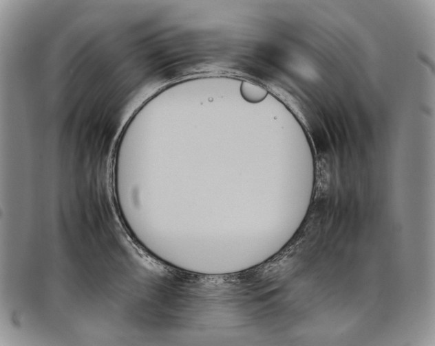 X0000097981098200804141111