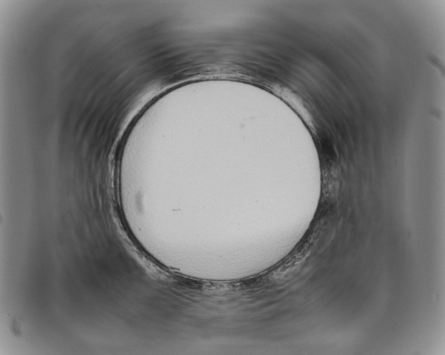 X0000097981099200804141111