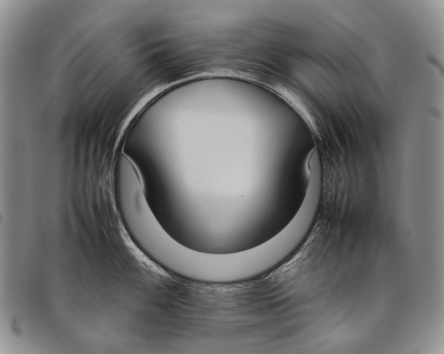 X0000097981100200804141111