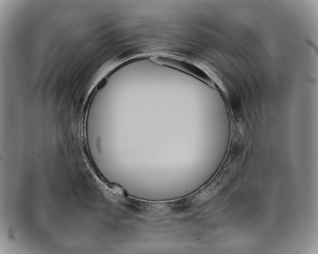 X0000097981101200804141111