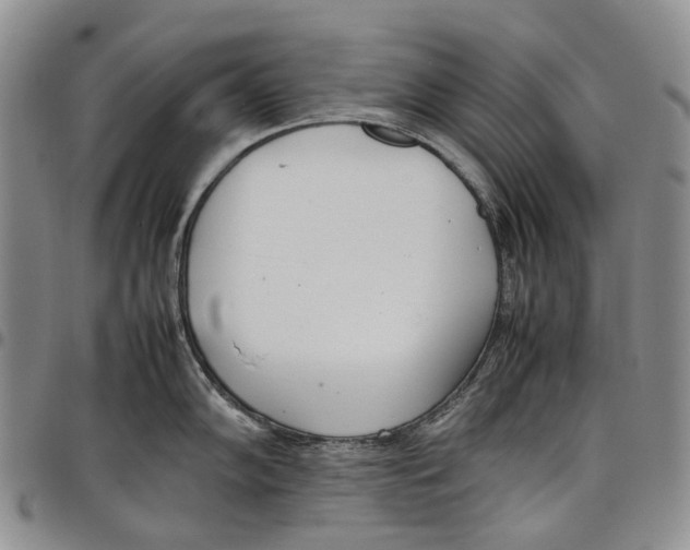 X0000097981102200804141111