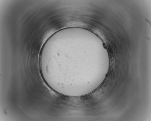 X0000097981103200804141111