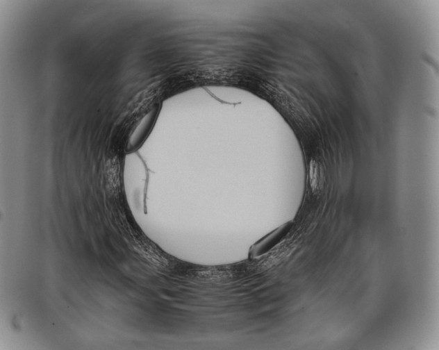 X0000097981107200804141111