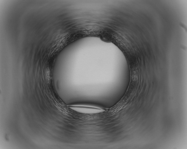 X0000097981108200804141111