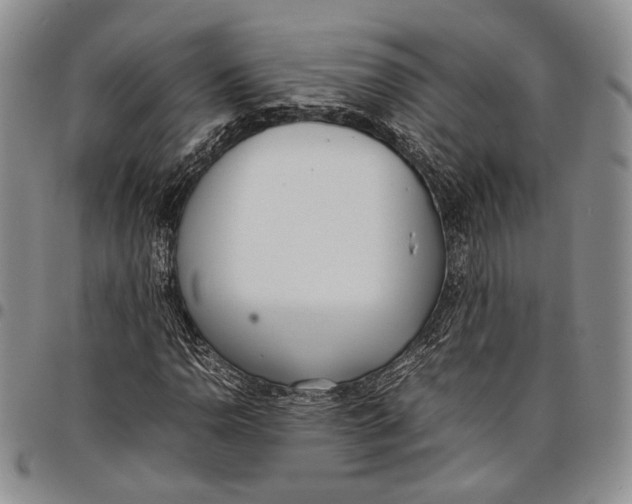 X0000097981110200804141111