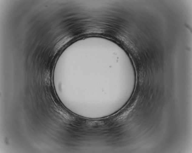 X0000097981113200804141111