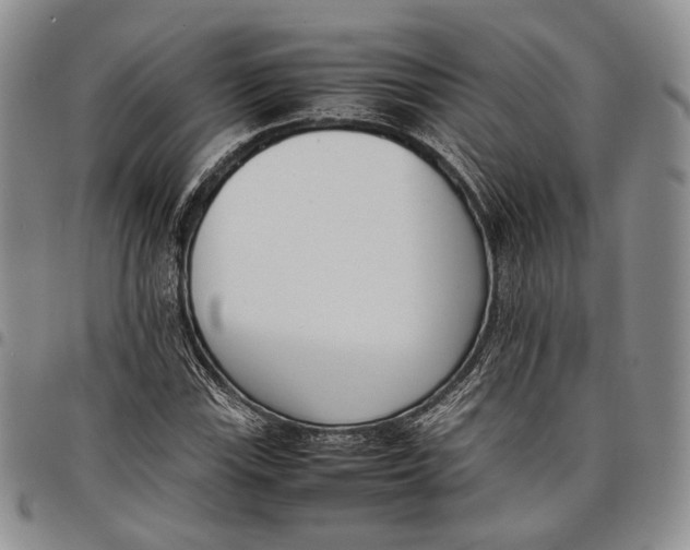 X0000097981115200804141111